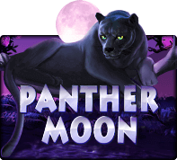 สล็อต XO1688 Panthermoon - SLOTXO