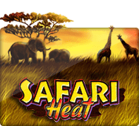 SLOTXO THAI Safari Heat - SLOTXO