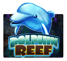 XO Slot ทางเข้า Dolphin Reef สล็อต xo 24