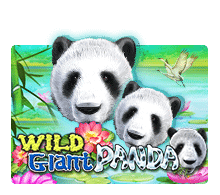รีวิวสล็อต XO Wild Giant Panda
