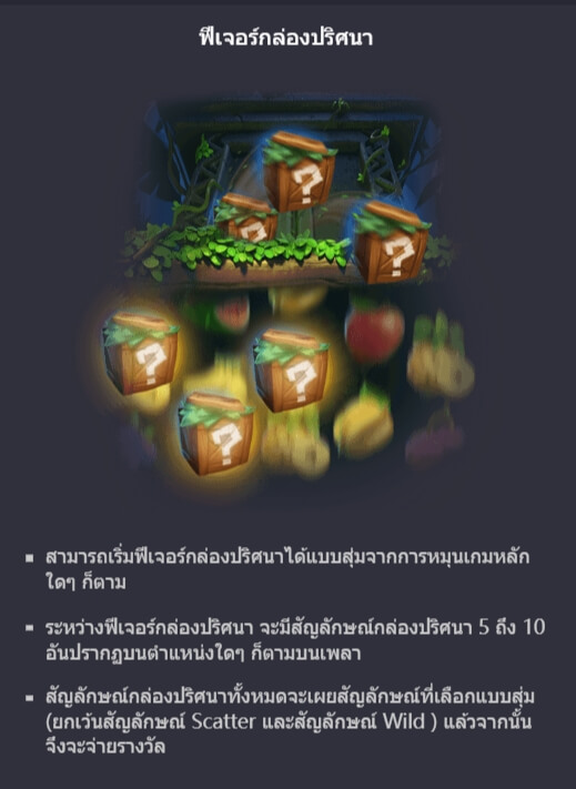 ฟีเจอร์ชนะรางวัลจากสัญลักษณ์ Jungle D