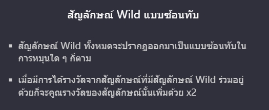 ฟีเจอร์ชนะรางวัลจากสัญลักษณ์ Wild Fireworks