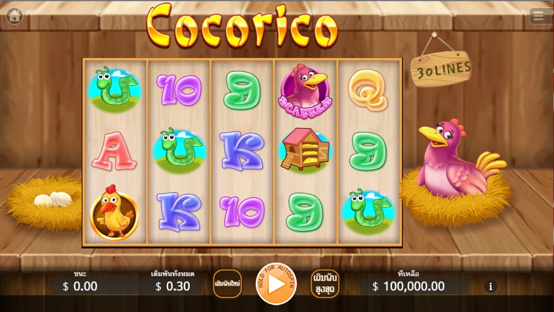 Cocorico Ka Gaming xoslot247 เว็บตรง