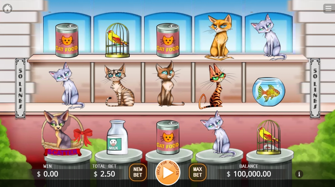 Kitty Living KA GAMING xoslot247 ทางเข้า