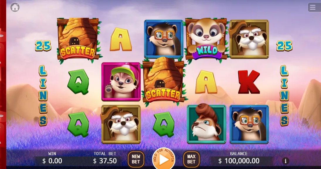 Meerkats' Family KA GAMING xoslot247 ทางเข้า