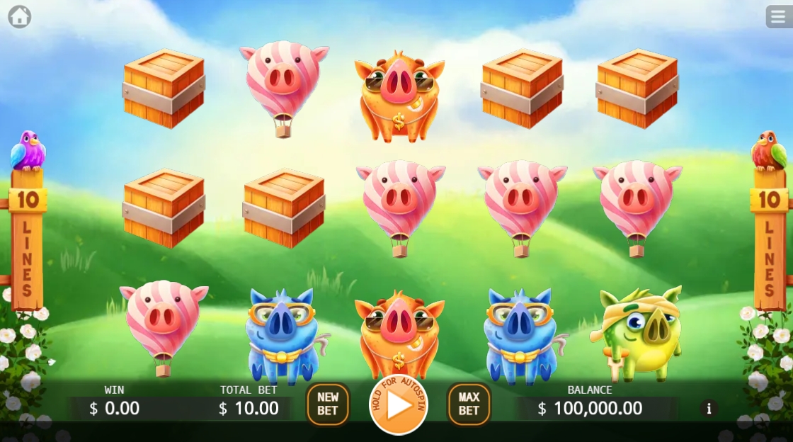 Angry Piggies KAGAMING xoslot247 ทางเข้า