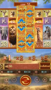 Safari Wilds PG SLOT Slotxo เติมเงิน