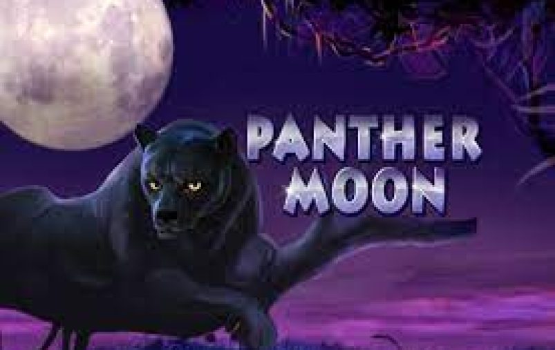 ทดลองเล่น SLOTXO Panther Moon