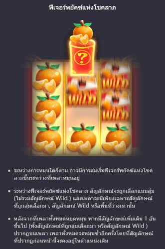 ฟีเจอร์ชนะรางวัลจากสัญลักษณ์ Fortune Tiger