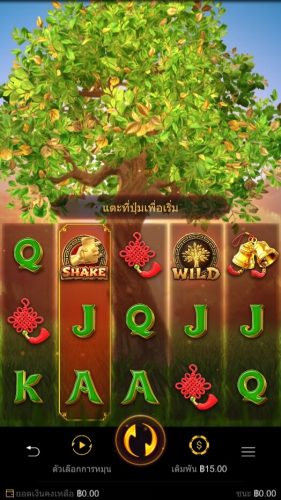 ทดลองเล่น PG SLOT Tree Of Fortune