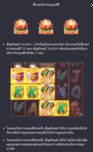 ฟีเจอร์โบนัสของ Slot PG Wild Fireworks